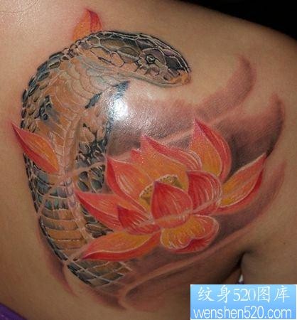 肩部3D彩色蛇莲花纹身图片图案