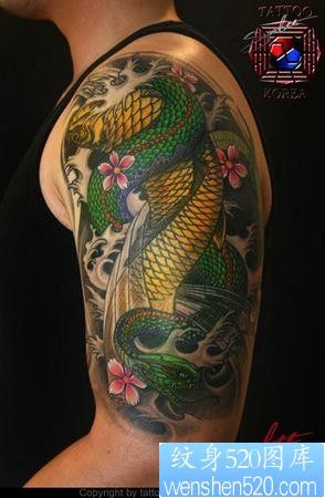 蛇纹身图片：手臂彩色蛇缠鲤鱼纹身图案