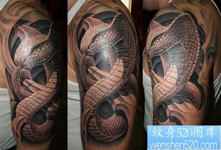 手臂3D蛇纹身图案