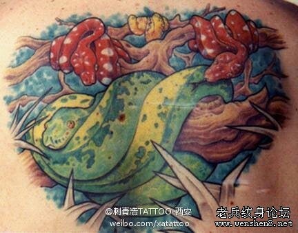 蛇纹身图片：彩色蛇纹身图片我纹身图案