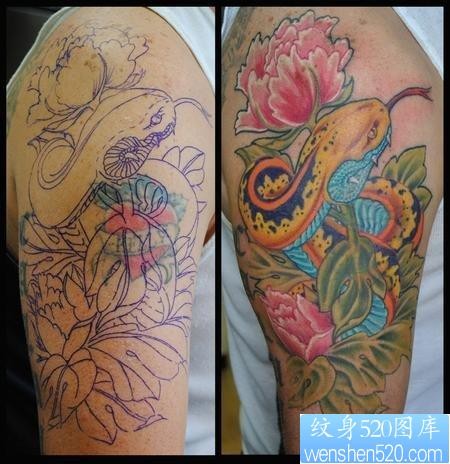 华丽的手臂彩色蛇牡丹纹身图案