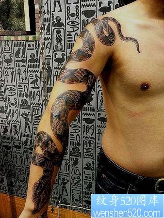 蛇纹身图片：手臂蛇纹身图片图案