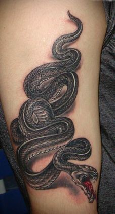 蛇纹身图片：经典帅气手臂蛇纹身图案