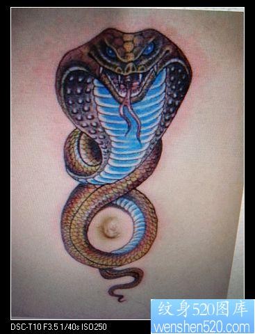 纹身图片―流行蛇纹身图片（精品）