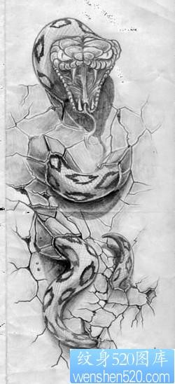 动物纹身图片：地裂蛇纹身图案