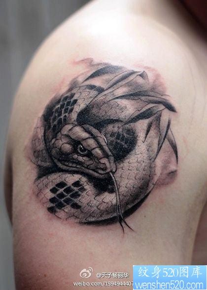 蛇纹身图片：手臂蛇纹身图案