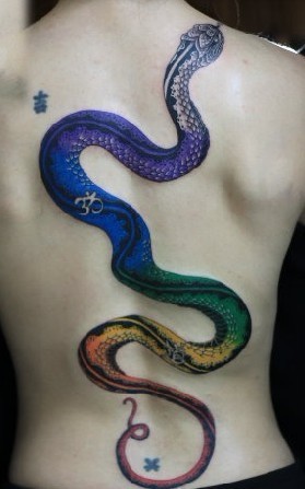 蛇纹身图片：背部彩色蛇纹身