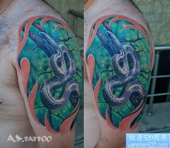 男生手臂精流行超酷的欧美彩色蛇纹身图片