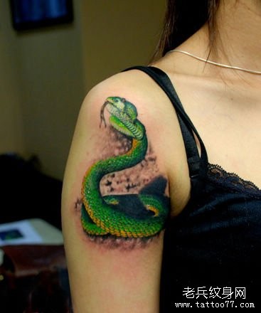 美女手臂艳丽的彩色蛇纹身图片