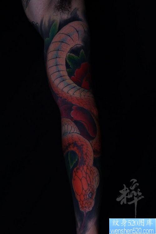 手臂精美的一张彩色蛇与牡丹纹身图片