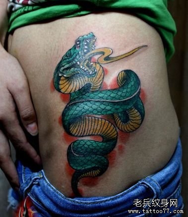 女孩子腹部一张彩色蛇纹身图片