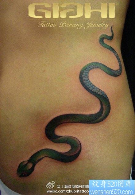 腹部精美小巧的蛇纹身图片