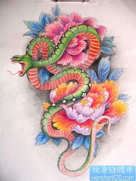 一张彩色蛇牡丹纹身手稿