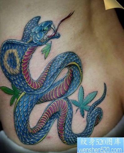 腰部帅气的蛇纹身图片