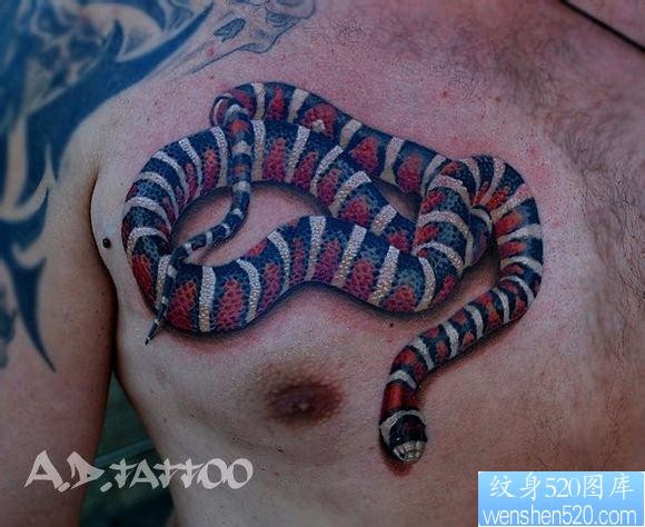 男生前胸精美帅气的欧美彩色蛇纹身图片