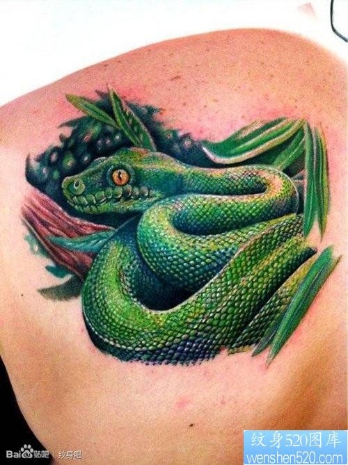 男生肩背精美的欧美3D彩色蛇纹身图片