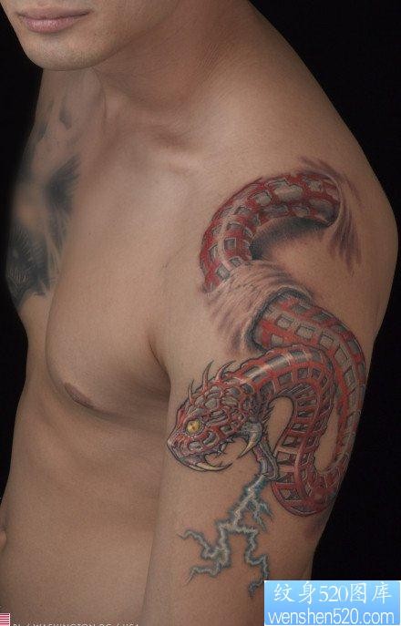 男生手臂帅气超酷的欧美蛇纹身图片