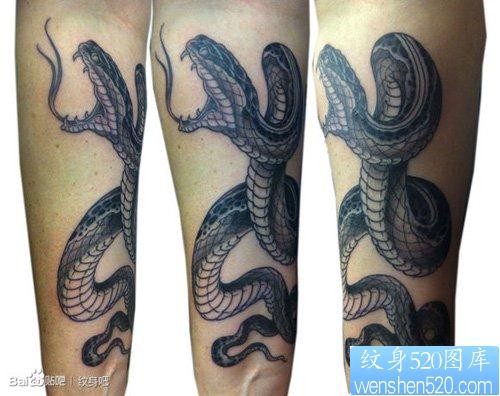 手臂前卫很酷的传统黑白蛇纹身图片