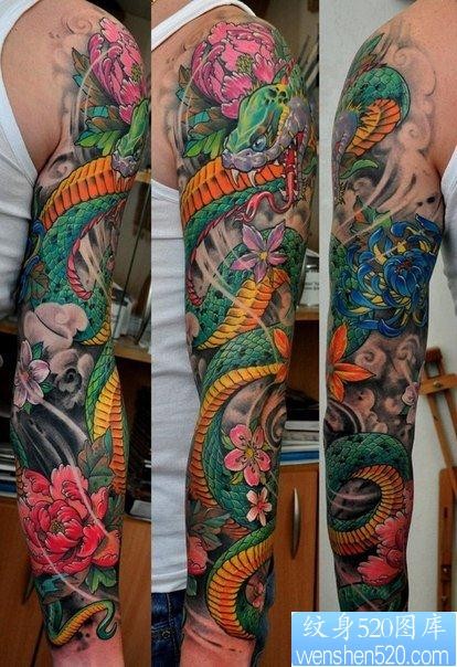超帅漂亮的彩色花臂蛇纹身图片
