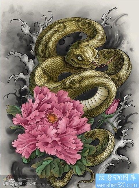 一张流行很酷的彩色蛇牡丹纹身手稿