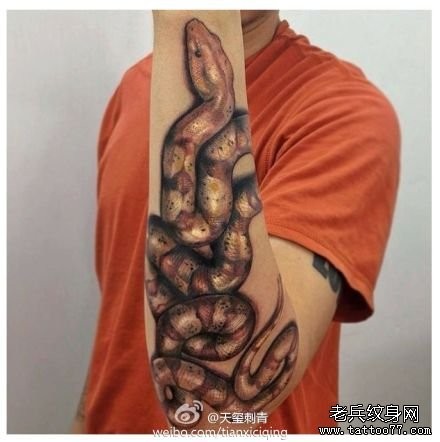 手臂前卫很帅的蛇纹身图片