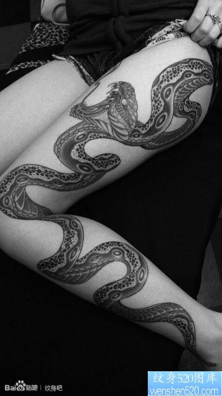 美女腿部流行很帅的蛇纹身图片