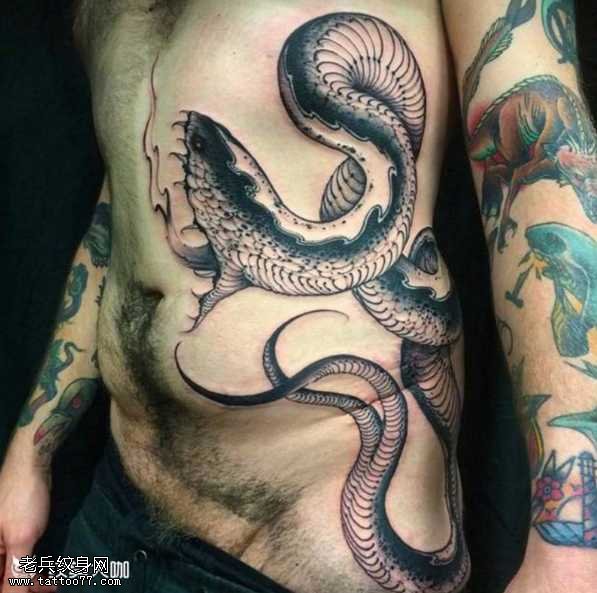 腰部蛇和手臂动物纹身图案