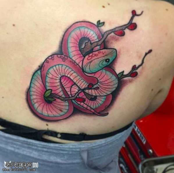 蛇绕梅花纹身图案