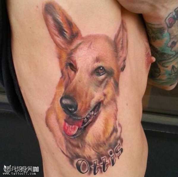 腰部可爱的狗和英文字母纹身图案
