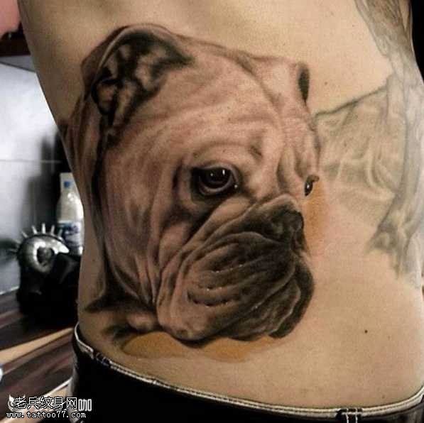 腰部斗牛犬写实纹身图案