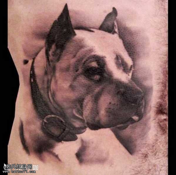 腰部帅气的斗牛犬纹身图案
