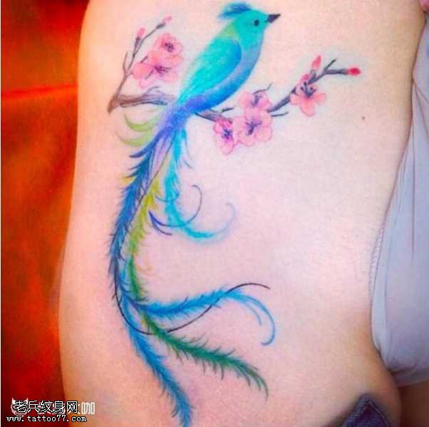 梅花上美丽的蓝色鸟纹身图案