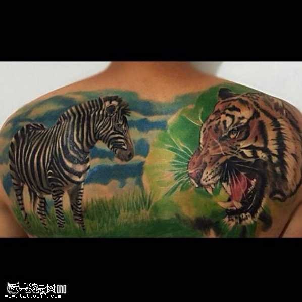 背部草原上老虎与斑马纹身图案