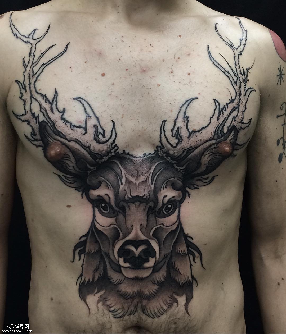 胸前大面积麋鹿头纹身图案