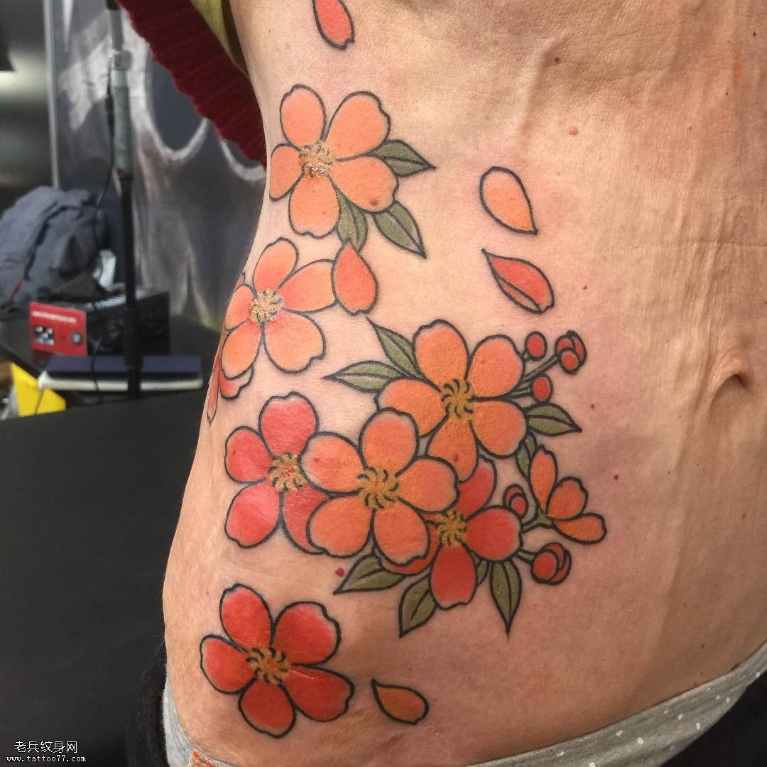 腹部彩色的樱花纹身图案