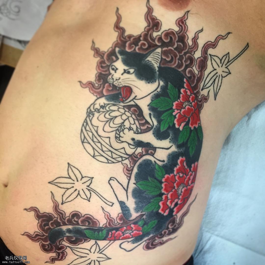 腹部日式风格猫牡丹花彩绘纹身图案