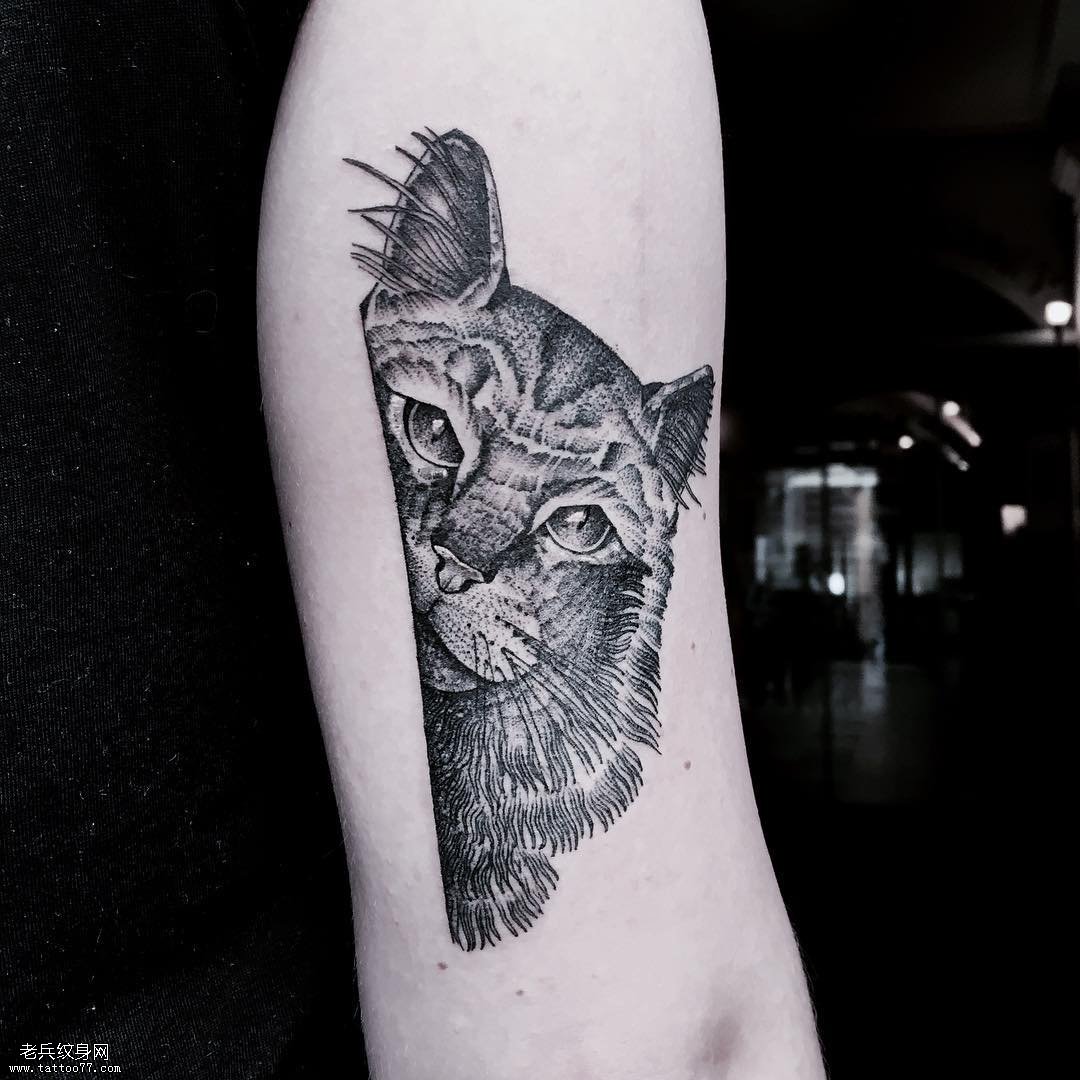 大臂黑色猫纹身图案