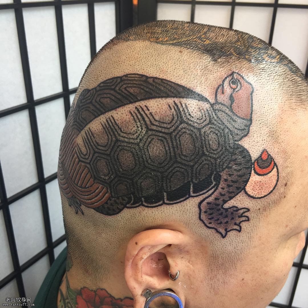 头部一只乌龟纹身图案