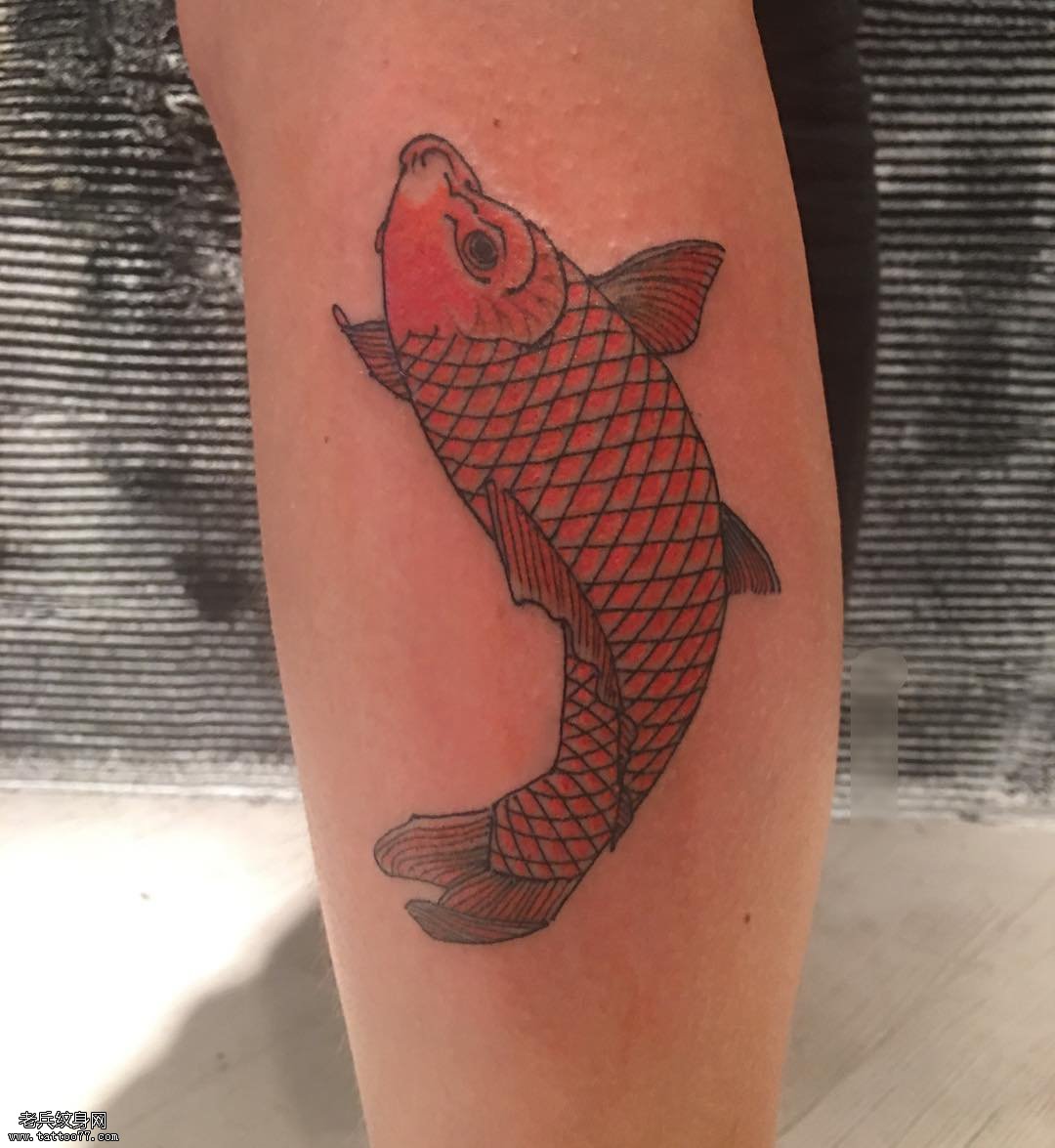 小腿一条红色鲤鱼纹身图案
