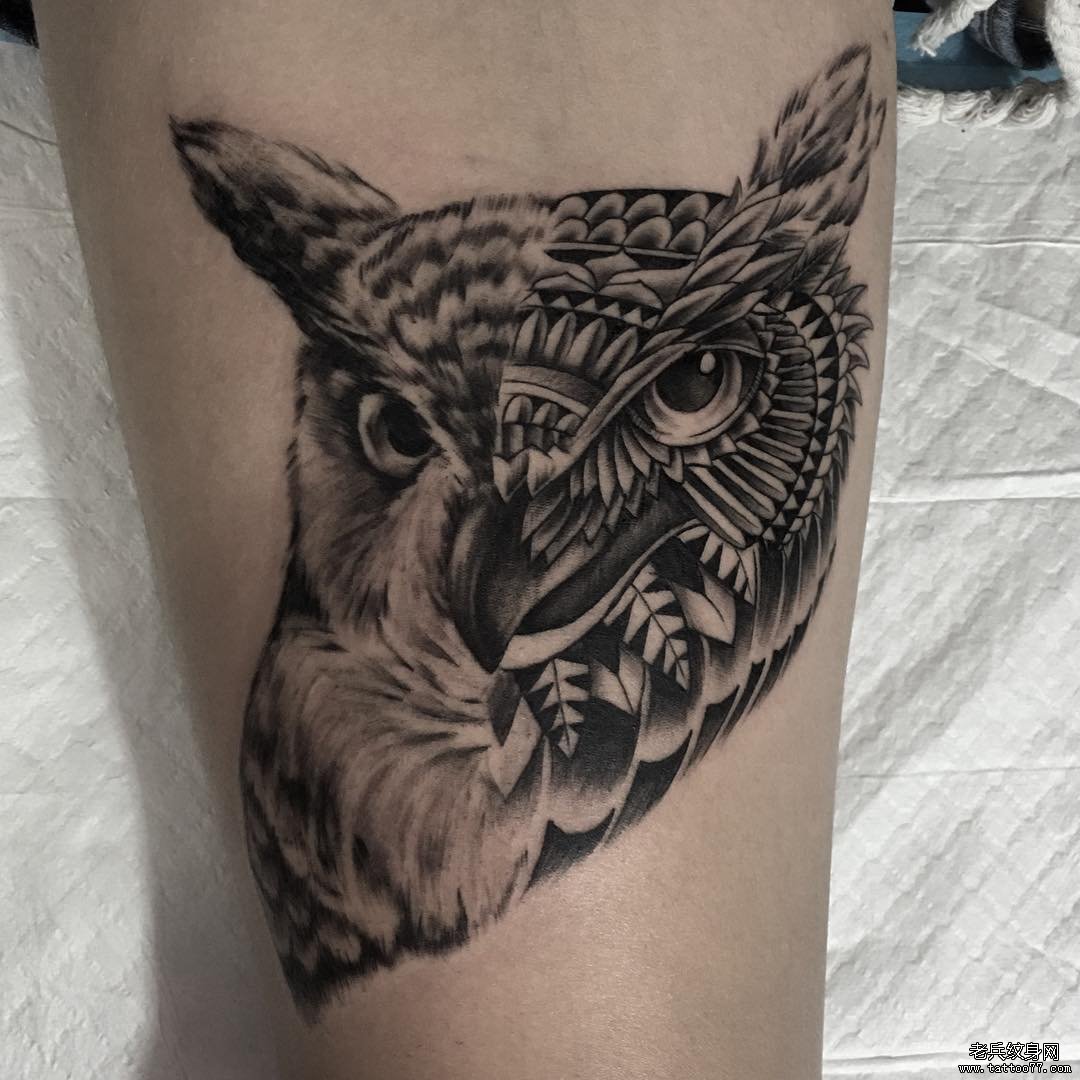 小腿写实个性猫头鹰纹身图案