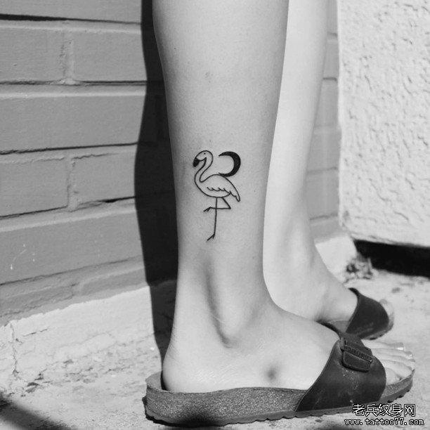 女生小腿小清新火烈鸟纹身图案