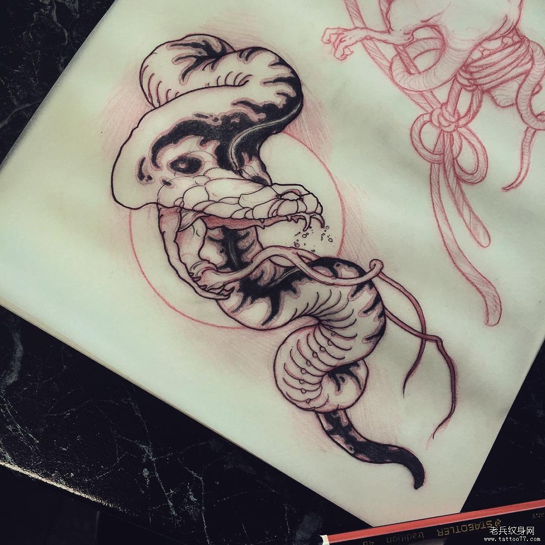 school蛇纹身图案手稿
