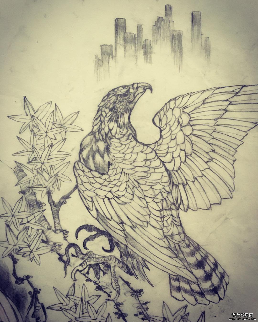 传统老鹰枫树纹身图案手稿