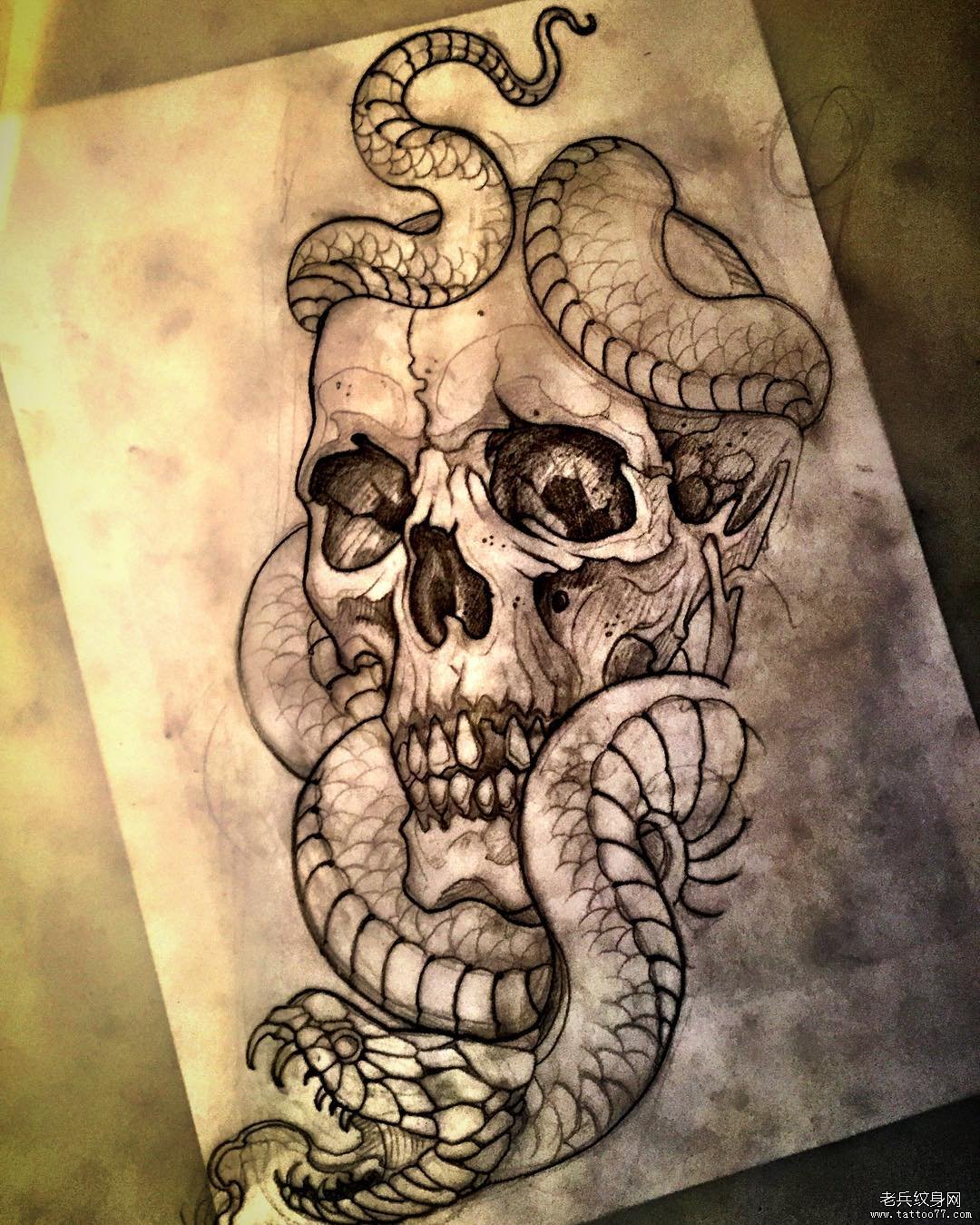 school蛇和骷髅纹身图案手稿