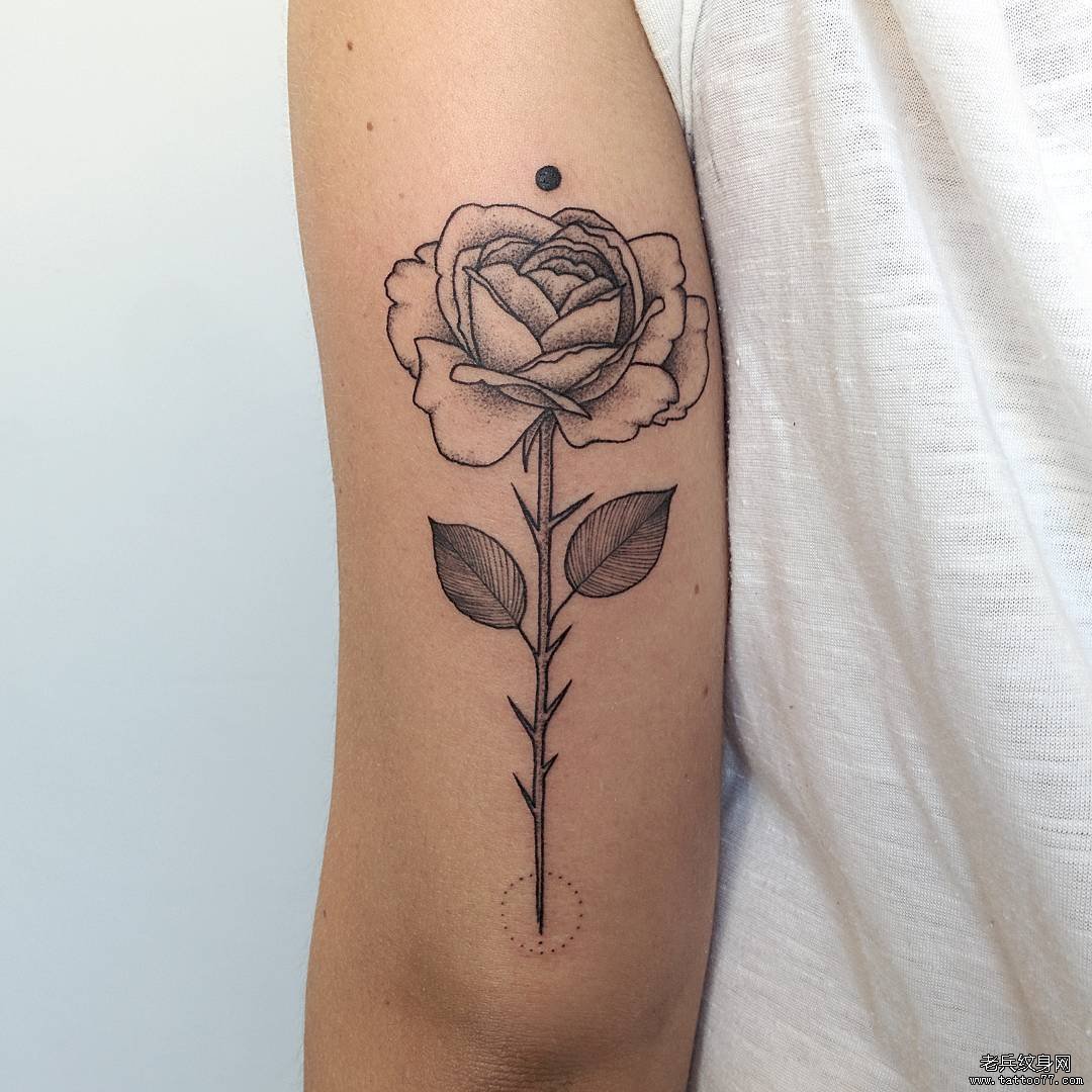 大臂小清新玫瑰点刺线条纹身tattoo图案