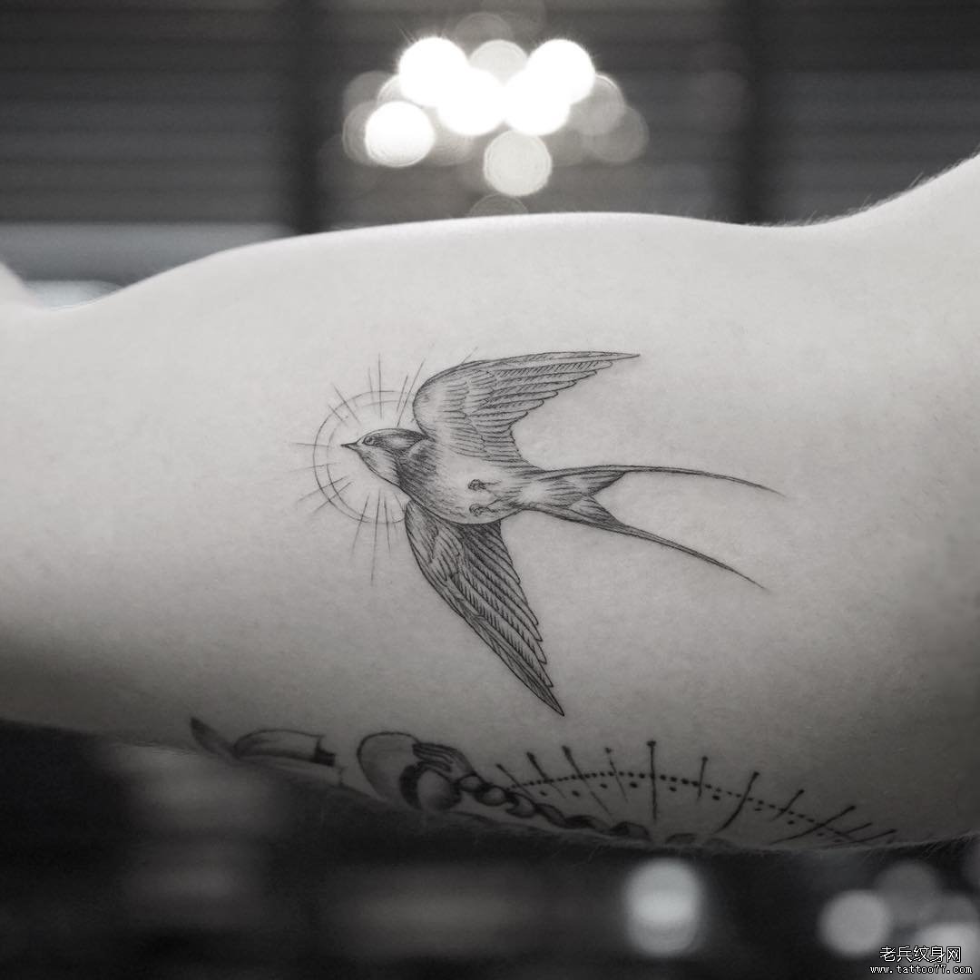 大臂old school燕子纹身tattoo图案