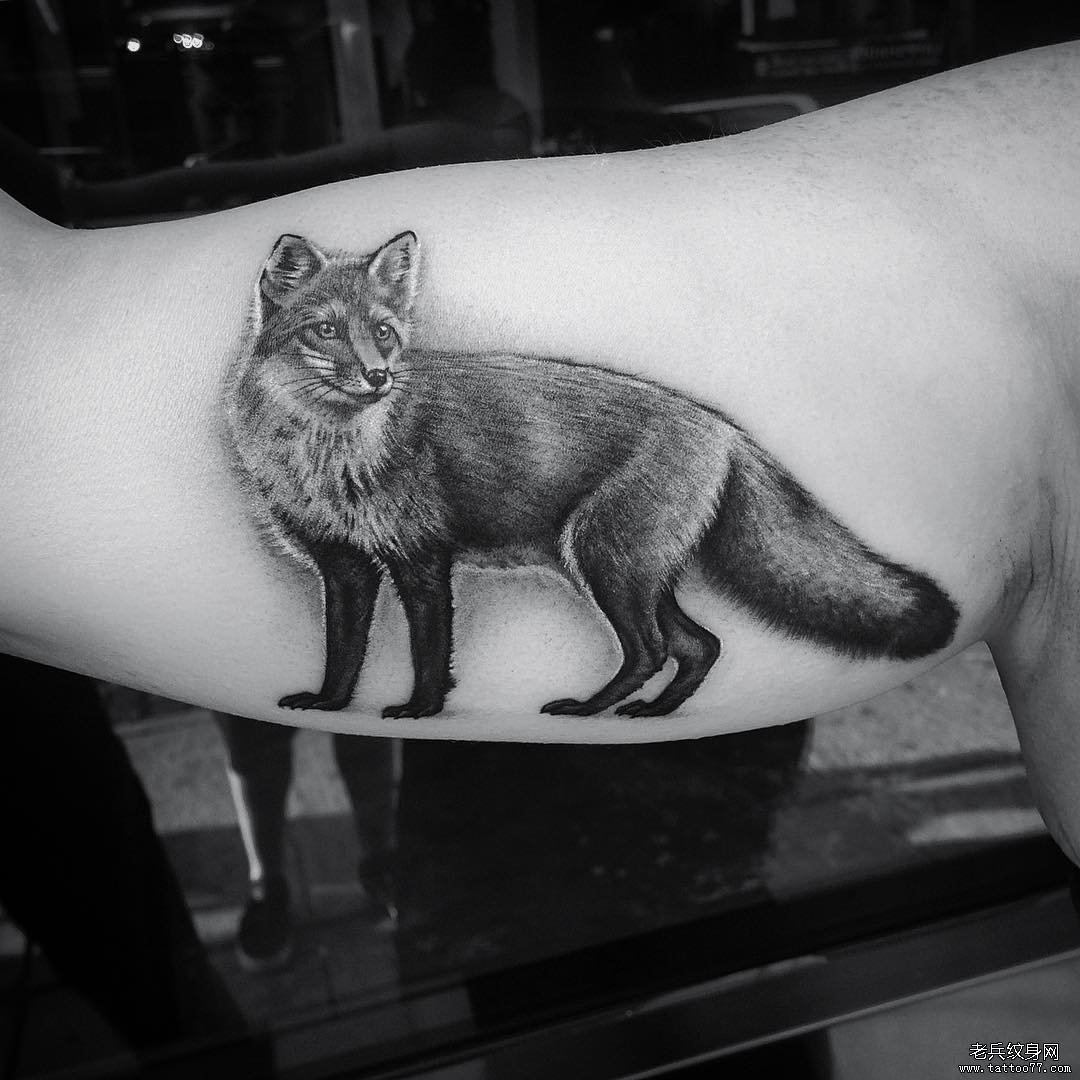 男性大臂黑灰色狐狸纹身图案