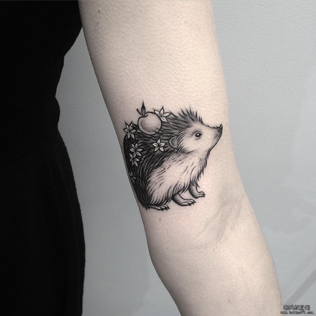 小臂刺猬小清新花朵苹果纹身图案