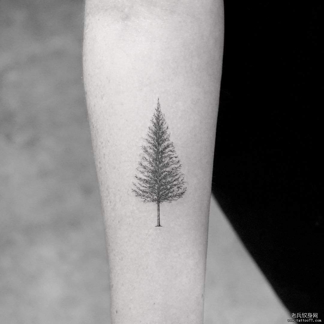 小臂一棵树简单的纹身tattoo图案