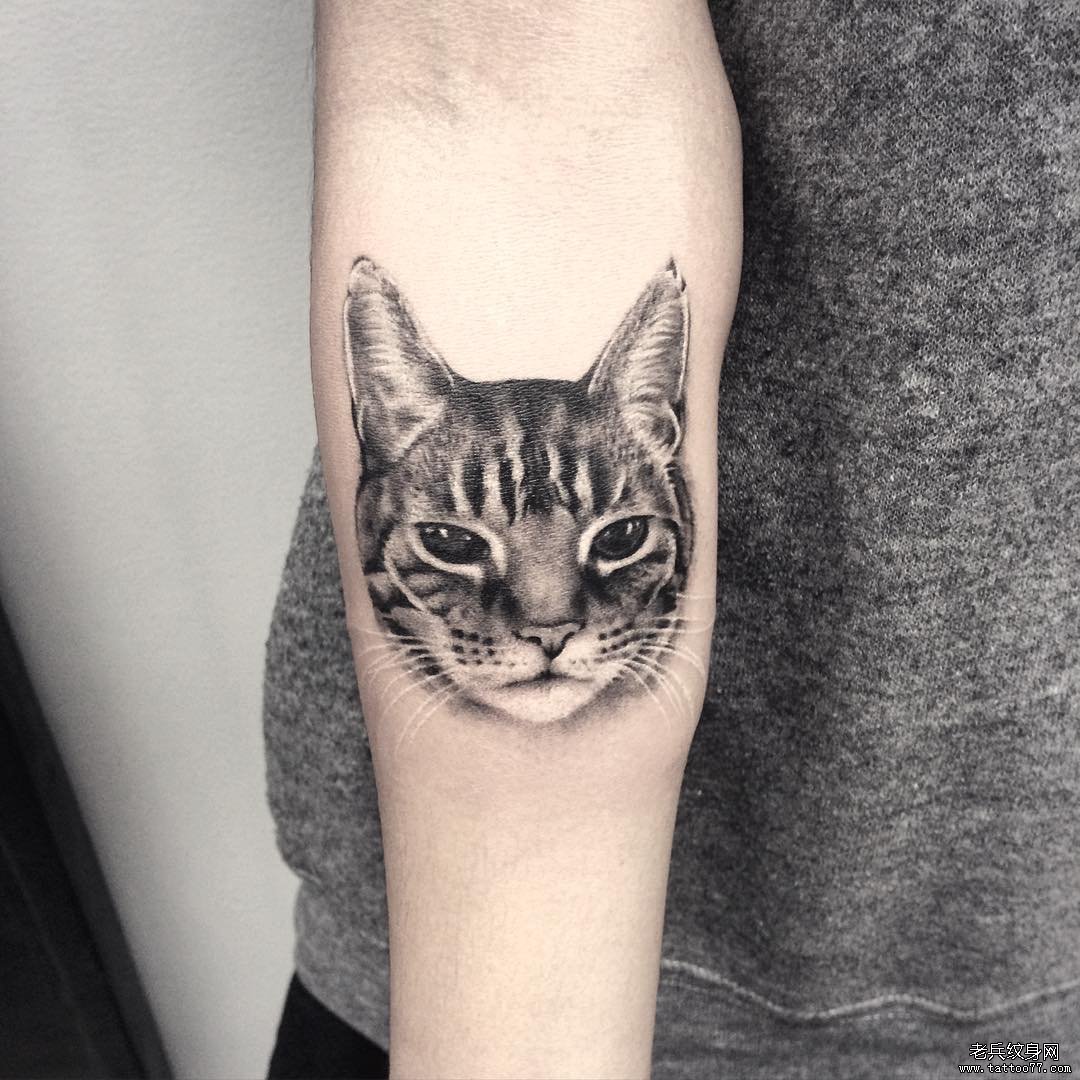小臂写实猫咪头像纹身图案